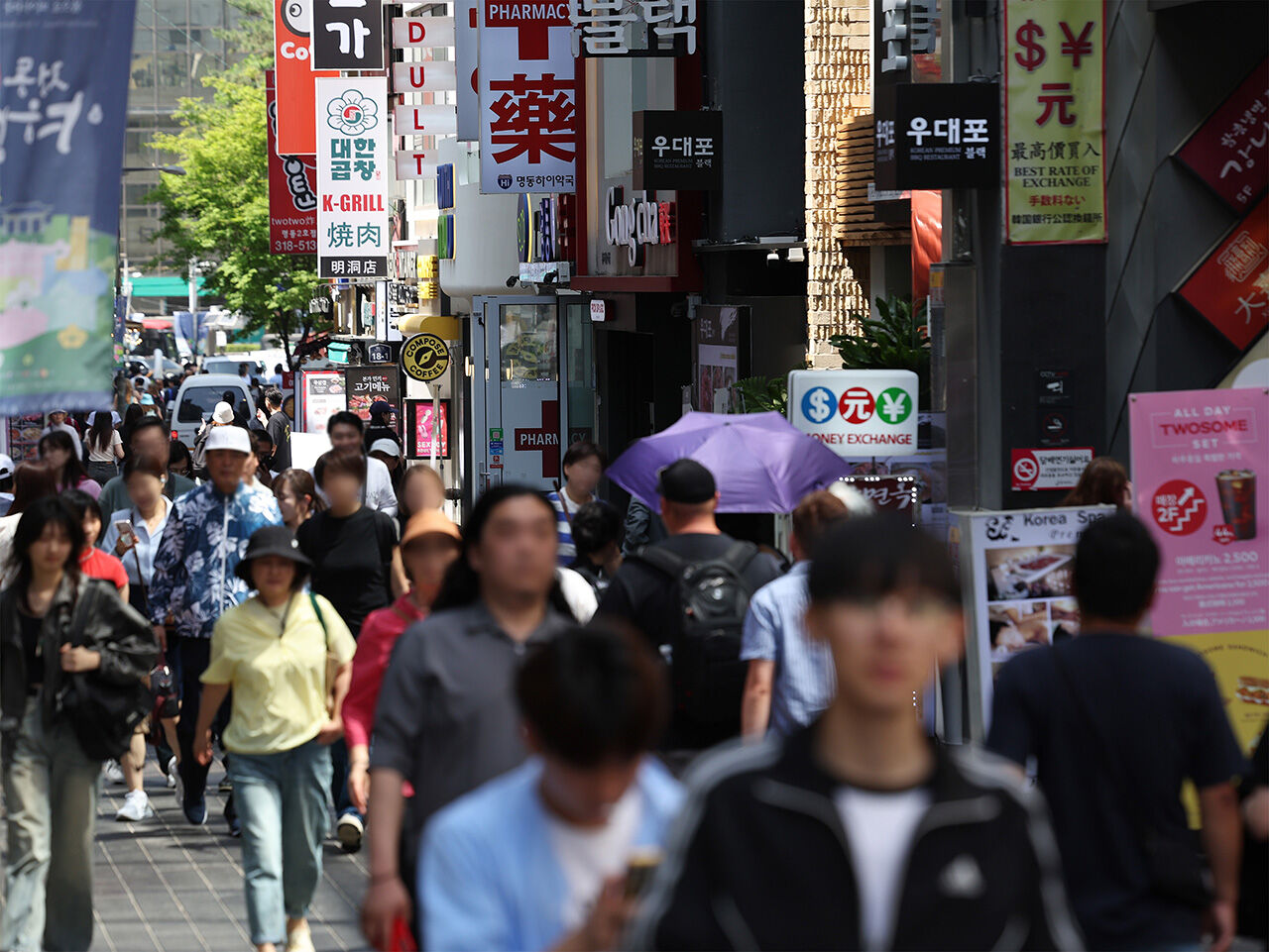 심영구 뉴스스프링