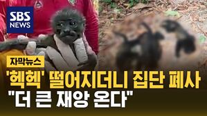 [자막뉴스] 바닥 곳곳 축 처진 '원숭이 사체'&hellip;사과처럼 쿵 떨어졌다