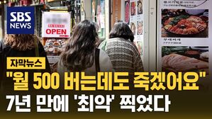 [자막뉴스] 실질 근로소득 감소