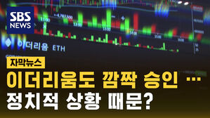 [자막뉴스] 비트코인 이어 이더리움도 승인&hellip;달라진 기류 살펴보니