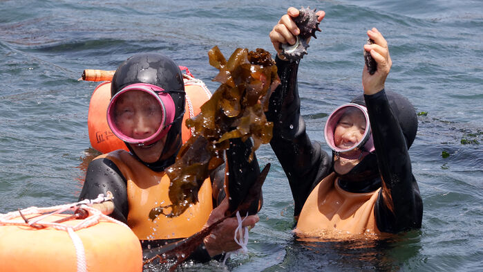 마지막 물질하는 김유생·강두교 해녀