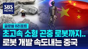 [글로벌D리포트] 중국 연구진, 초고속 소형 곤충 로봇 공개