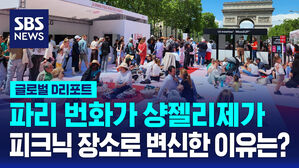 [글로벌D리포트] 샹젤리제가 피크닉 장소로 변신한 이유는?