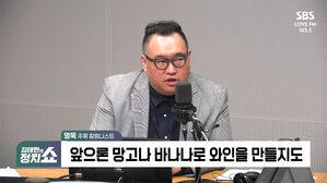 0529 정치쇼 명욱