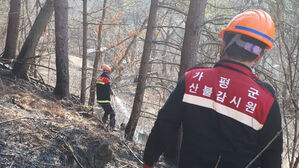 경기 가평 야산에서 산불&hellip;1시간 30분 만에 진화