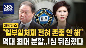 [자막뉴스] "일부일처제 전혀 존중 안 해"&hellip;"최태원, 노소영에 1.3조 분할" 역대 최대