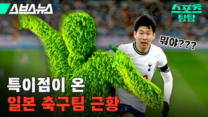 축구 K리그 잔디 J리그 일본