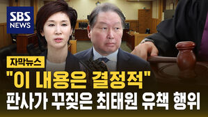 [자막뉴스] "이 내용이 결정적"&hellip;'최태원 유책 행위' 조목조목 지적한 재판부