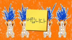 "윤 대통령 축하난 거부" 릴레이 인증샷에&hellip;여당 "옹졸한 정치" [스프]