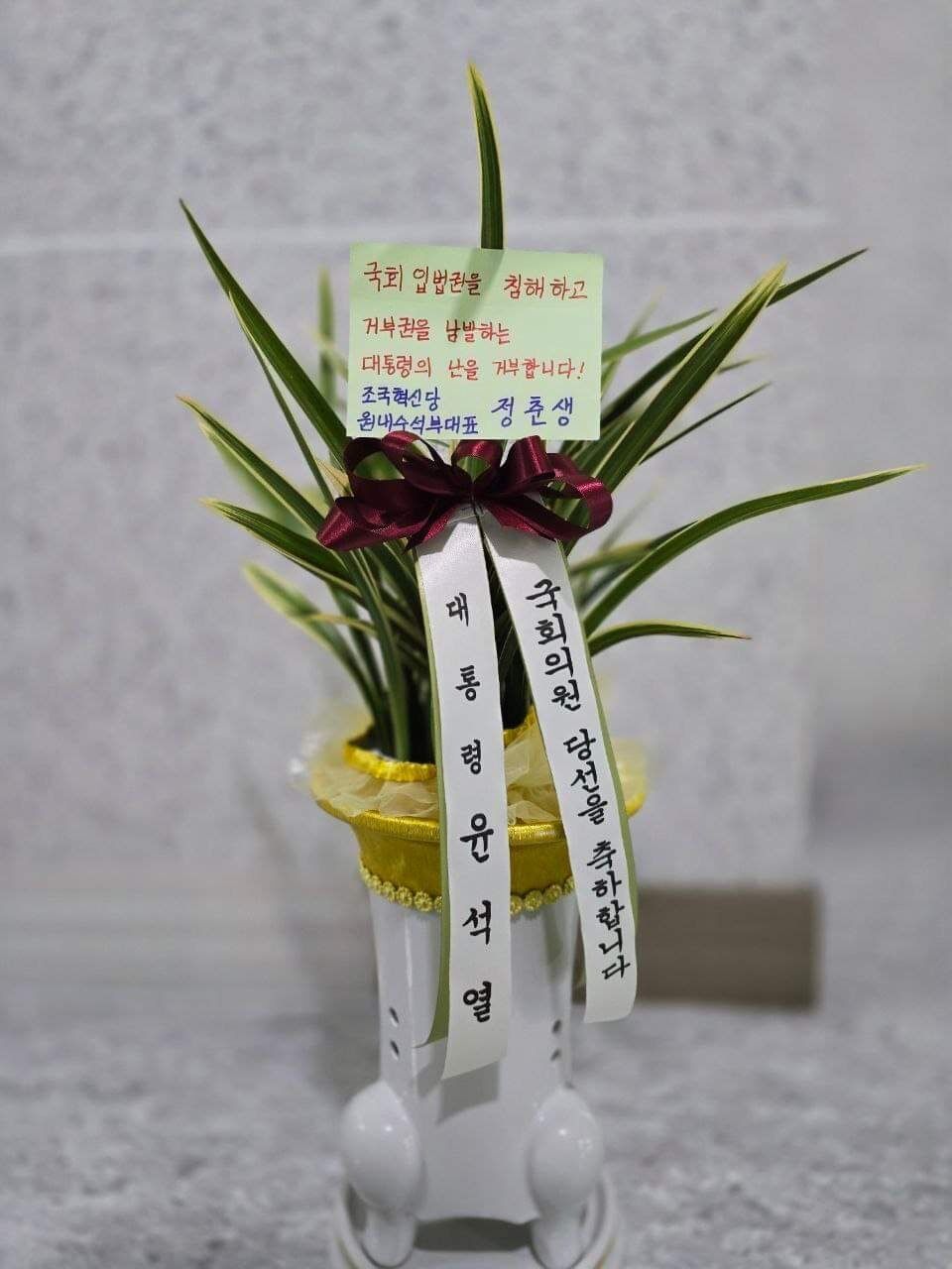 출처 : 정춘생 조국혁신당 의원 페이스북