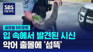 [글로벌D리포트] 또 악어 입속 '시신'&hellip;악어 출몰에 '섬뜩'