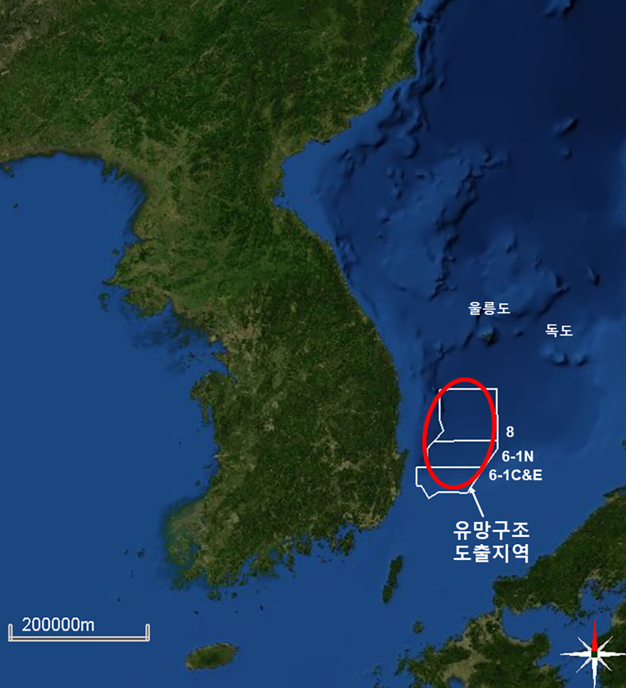 심영구 뉴스스프링