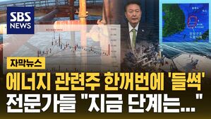 [자막뉴스] 석유 발견 해프닝