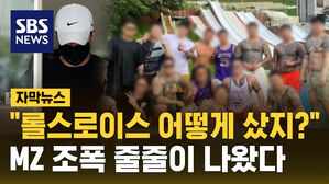[자막뉴스] "롤스로이스를 어떻게 샀지?" 불법 리딩방, 도박사이트 줄줄이 나왔다