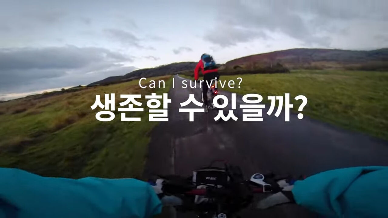 이화정 취향저격