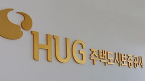 HUG, 전세보증 50건 초과 다주택 임대인 추가 심사 도입