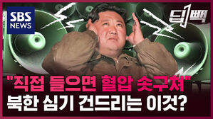 SBS NEWS 딥빽 직접 들으면 혈압 솟구쳐 북한 심기 건드리는 이것