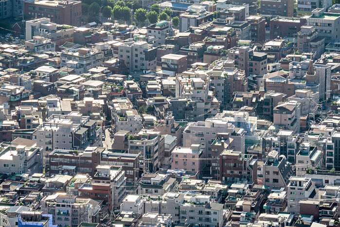 김진석 경제자유살롱