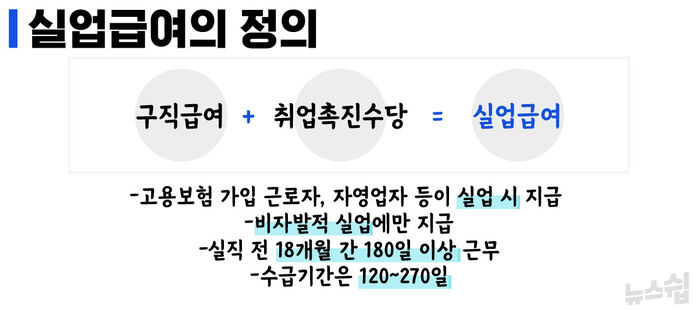 박수진 뉴스쉽