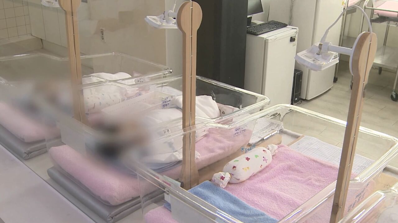 전영수 교양이를 부탁해