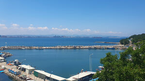 국민의힘 "민주, 석유 시추 실패만 바라나&hellip;생트집"