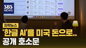 SBS NEWS  자막뉴스_한국 AI 연구도 미국 자본으로