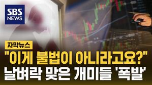 [자막뉴스] 무자본 인수&middot;합병