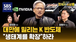 AI 시대에 삼성전자, SK하이닉스 등 K 반도체의 미래는? (ft. 강정수) [경제자유살롱]