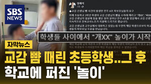 [자막뉴스] 교감 뺨 때리고 침뱉은 초등학생&hellip;그 후 학교에 번진 놀이