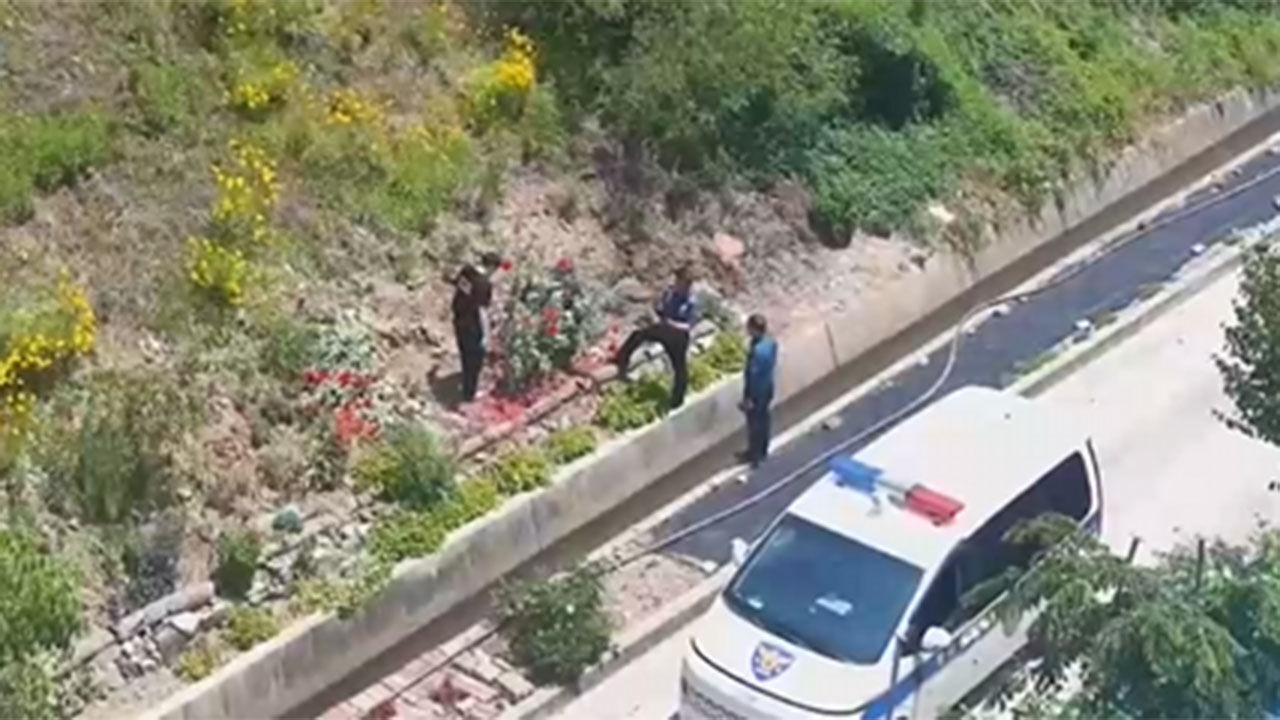 경남 의령군, 경찰 드론에 걸린 불법 양귀비 재배