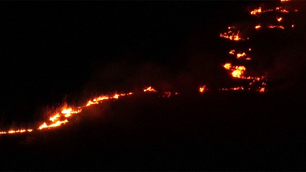 브라질 판타나우 습지 화재