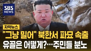 [자막뉴스] "그냥 밀어" 북한서 파묘 속출&hellip;"어떻게 유골을" 주민 분노