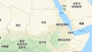 예멘 해안서 난민선 전복&hellip;최소 49명 사망, 140명 실종