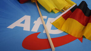 독일 정부, 극우당 AfD '반헌법적 극단주의 단체' 지정