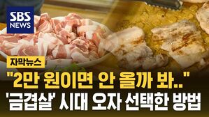 [자막뉴스] 금겹살