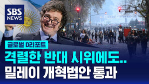 [글로벌D리포트] 격렬한 반대 시위에도 밀레이 개혁법안 통과
