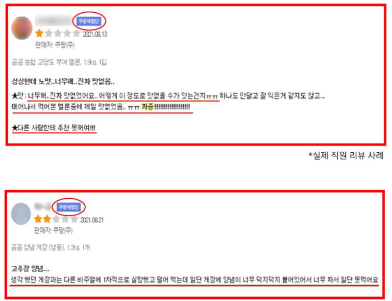 쿠팡체험단 리뷰 (사진=쿠팡의 '직원 리뷰 조작이 없었다는 5대 핵심증거' 자료 캡처, 연합뉴스)