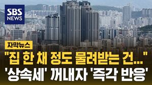 [자막뉴스] '세계 2위 수준' 상속세율 손보나&hellip;종소세도 만지작?