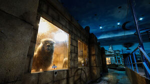 1살부터 지하에 갇혀 살았다&hellip;7년 후 들려온 반전 근황