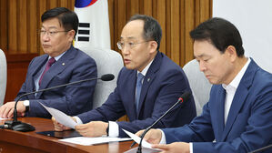 여당 "상임위원장 야당 단독선출 무효"&hellip;헌재 권한쟁의심판 청구