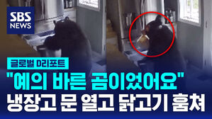 [글로벌D리포트] "곰이 냉장고 문을 열고 닭고기를&hellip;"