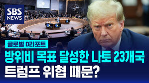 [글로벌D리포트] "나토 23개국, 방위비 목표 달성"&hellip;트럼프 위협 때문?