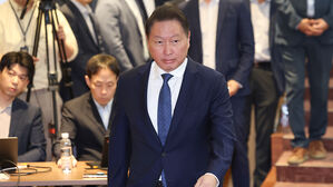 최태원 측 "오류 변경해도 판결 영향 없는지 의문"