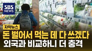 [자막뉴스] 돈 벌어서 먹는 데 다 쓰겠다&hellip;외국과 비교하니 더 충격