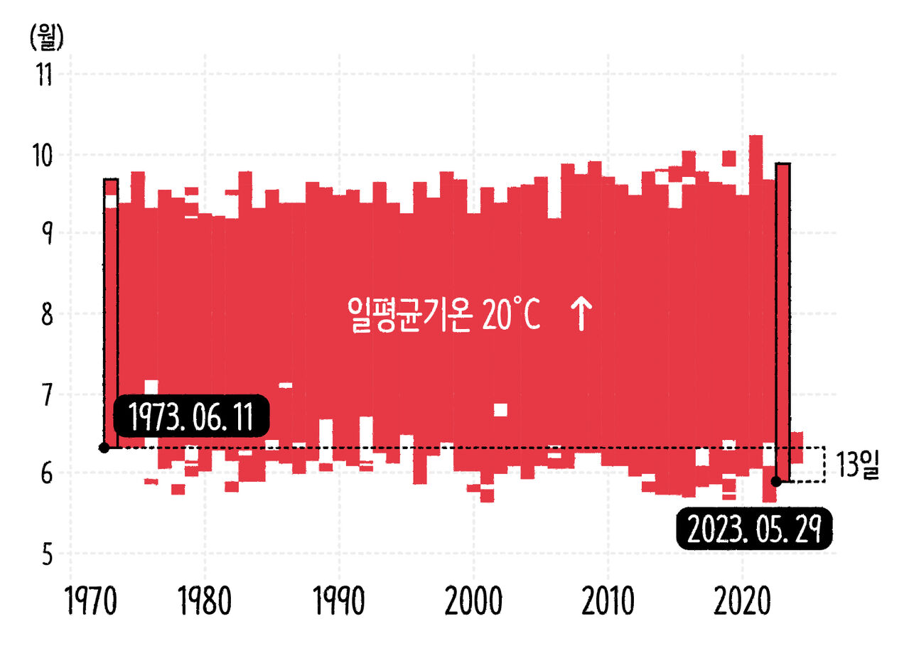 안혜민 마부뉴스