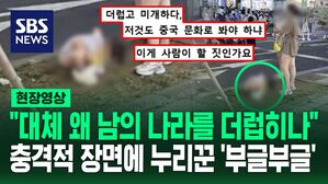 [영상] "더럽고 미개하다" "사람이 할 짓인가" 누리꾼 공분&hellip;길거리에서 '대변' 보는 아이 알고 보니