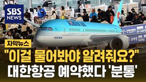 [자막뉴스] "이걸 물어봐야 알려줘요?"&hellip;대한항공 예약한 사람들 '분통'