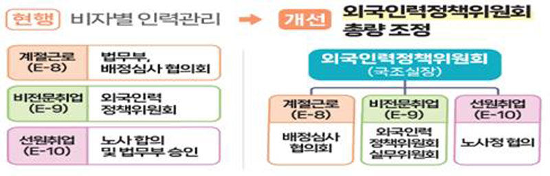 비전문 외국인력의 통합적 총량 관리 체계 구축