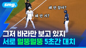 그저 바라만 보고 있지 서로 멀뚱멀뚱 5초간 대치