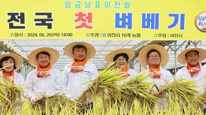 '벌써 벼 베기'&hellip;무더위 속 이천서 전국 첫 벼 수확